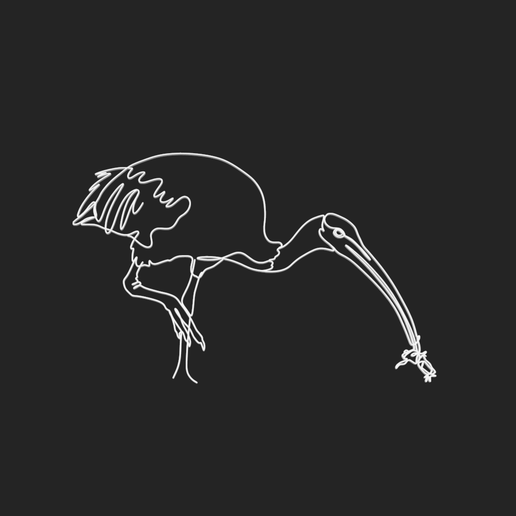 Australian White Ibis 3 lineart 3d printed