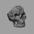 skull-ring-a20-1.jpg skull ring a20 (2)
