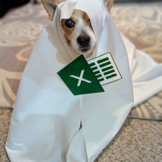 Ein-Excel1.jpg Excel Sheet costume
