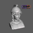 Athena.JPG Athena Bust 3D Scan
