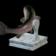 Rainbow-trout-trophy-12.png rainbow trout / Oncorhynchus mykiss fish in motion trophy statue detailed texture for 3d printing