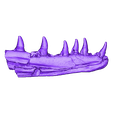 Prognathodon_jaw_reconstructed_mirrored_lifesize.stl STL file Mosasaur Jaw・3D printable model to download