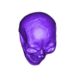 SkullHollow.stl Skull Sculpture 3D Scan (Including Hollow Version)
