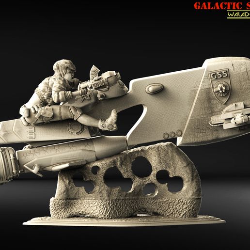 6.jpg galactic security service