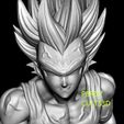 VV5.jpg DRAGON BALL MAJIN VEGETA DRAGON BALL Z