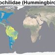 Hummingbird-Distribution.jpg Hummingbird Feeder with Accessories