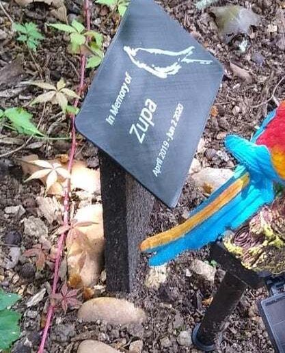 Cockatiel Bird Memorial Stone Grave Marker - 3D model önizlemesi