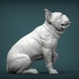 French-Bulldog5.jpg French Bulldog 3D print model