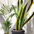 1665909293861.jpg OMEGA Planters
