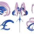 Limbic_Render_1.png Limbic System Anatomy