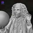 11.jpg Sybill Trelawney Harry Potter Action Figures Custom Action 3D print model