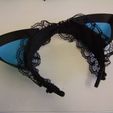 DSCF6954.JPG Multipurpose Cat Ears
