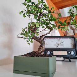 3d-printed-bonsai-pot.jpg Design Bonsai Topf, Bonsai Schale 3D Modell