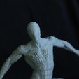 Milots-Tutus-3D-Printing-Cults5.jpg spiderman