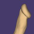 Screenshot_20230101_151309.jpg Dick
