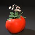 2.jpg tomato planter