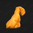 3405-Cesky_Terrier_Pose_06.jpg Cesky Terrier Dog 3D Print Model Pose 06