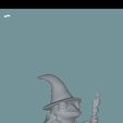 1000009072.jpg Wizard frog