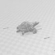 petite-tortue-2.jpg Little turtle Lili 🐢