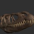 ZBrush-Document2.jpg Dilophosaurus Skull