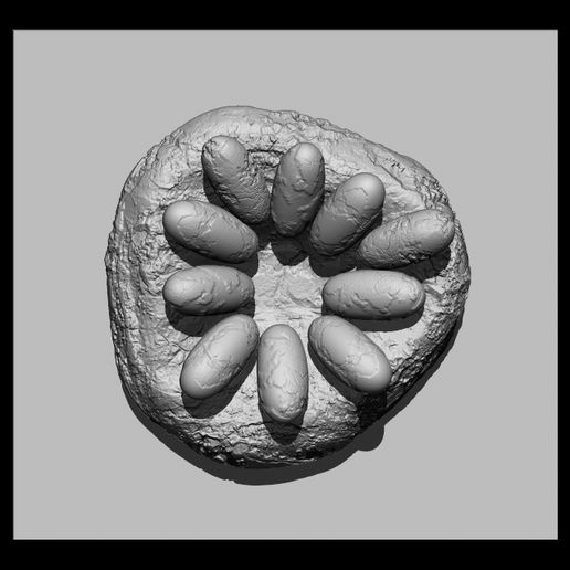 4-EGG.jpg гнездо динозавра с яйцами