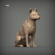 Australian-Cattle-Dog-sitting4.jpg Australian Cattle Dog Sitting Pose STL 3D print model