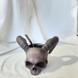 WhatsApp-Image-2023-05-16-at-23.11.59.jpeg Demon Skull Mate