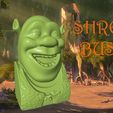 ShrekBust.jpg Shrek Bust