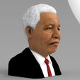 nelson-mandela-bust-ready-for-full-color-3d-printing-3d-model-obj-mtl-fbx-stl-wrl-wrz (10).jpg Nelson Mandela bust ready for full color 3D printing
