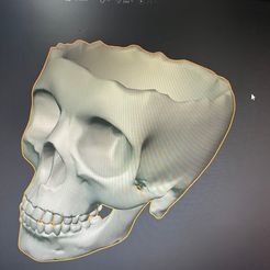 RBSag1D9RMb_GXx-5D5KgsuhnSCovDCjgJSRmLgJF0dY9gJQzn5ibw36MUUpdMwshX5Q2i7PkrfXe1o-LjCMBcX4.jpg Archivo STL gratuito Jarrón calavera roto・Objeto imprimible en 3D para descargar