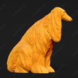 111-Afghan_Hound_Pose_05.jpg Afghan Hound Dog 3D Print Model Pose 05