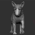 Screenshot-2024-12-21-140042.png Bull Terrier