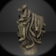 3.png Plantador Medusa