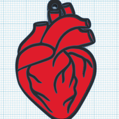 cor-anatomico.png anatomical heart key ring