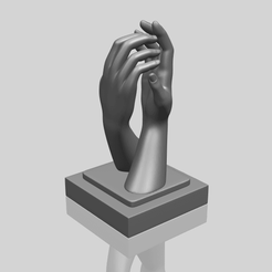 TDA0757_Hands_02A00-1.png Free 3D file Hands 02・3D printing template to download