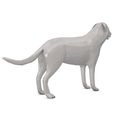 Dog-low-poly03.jpg Chien Low Poly - Usage commercial
