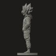 ZGrab06.jpg STREET GOKU