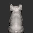 French-Bulldog13.jpg French Bulldog 3D print model