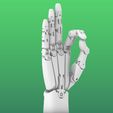 large.jpg Robotic Hand