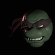CFFFBA94-5C6E-4018-9F55-920C97596B0E.jpeg Teenage mutant ninja turtle head