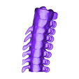 Schwanz1f.OBJ Free OBJ file Tristan-Otto・3D printer design to download