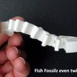 af23d60adc106683d8a39f22fc8b01b5_display_large.jpg STL-Datei Fish Fossilz kostenlos・Objekt zum Herunterladen und Drucken in 3D