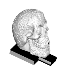 CIright.png Fichier 3D gratuit Brûleur d'encens crâne celtique (interchangeable)・Modèle pour imprimante 3D à télécharger