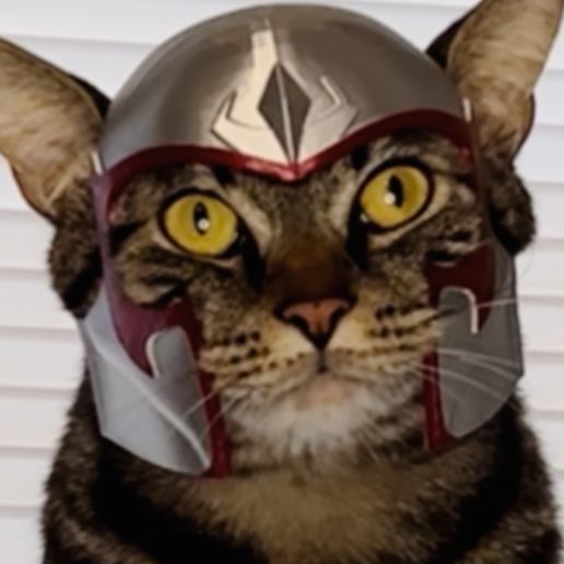 IMG_3300.jpeg Magnito Cat Helmet (X-Men)🪙