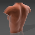04.png 3D file Bust 08・3D printable model to download