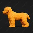 1938-Bichon_Frise_Pose_03.jpg Bichon Frise Dog 3D Print Model Pose 03
