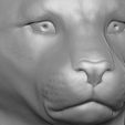 16.jpg Leopard head for 3D printing
