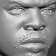 18.jpg Ice Cube bust 3D printing ready stl obj formats