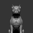 American-Staffordshire-Terrier11.jpg American Staffordshire Terrier 3D print model