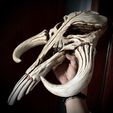 z4206671331608_636297b1cf17b721f4e2ecbaf27a1ef3.jpg 3D file Mythosaur Skull High Quality - Mandalorian Starwars Movie・Template to download and 3D print